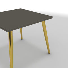 Dohányzóasztal - Manu arany lábbal - Fosszil szürke, méret: 50x50