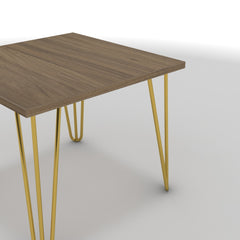 Dohányzóasztal - Linga arany lábbal - Világos rauna szil, méret: 50x50