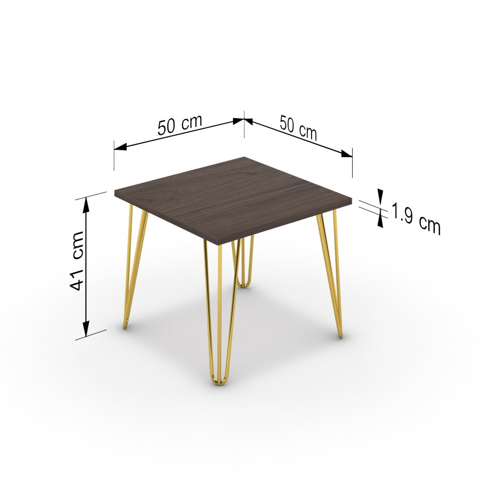 Dohányzóasztal - Linga arany lábbal - Sötét rauna szil, méret: 50x50