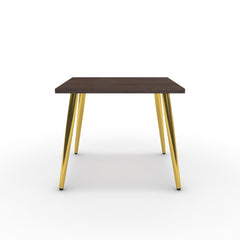Dohányzóasztal - Manu arany lábbal - Sötét rauna szil, méret: 50x50