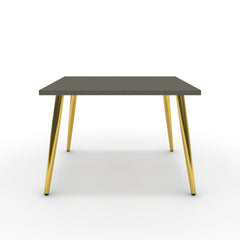 Dohányzóasztal - Manu arany lábbal - Fosszil szürke, méret: 60x60