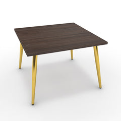 Dohányzóasztal - Manu arany lábbal - Sötét rauna szil, méret: 60x60