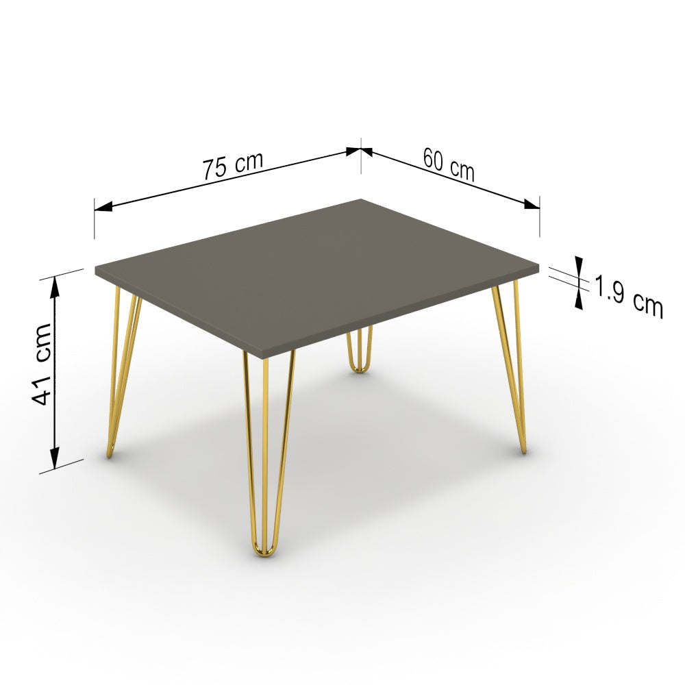 Dohányzóasztal - Linga arany lábbal - Fosszil szürke, méret: 75x60