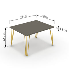 Dohányzóasztal - Linga arany lábbal - Fosszil szürke, méret: 75x60