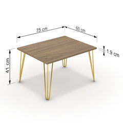 Dohányzóasztal - Linga arany lábbal - Világos rauna szil, méret: 75x60