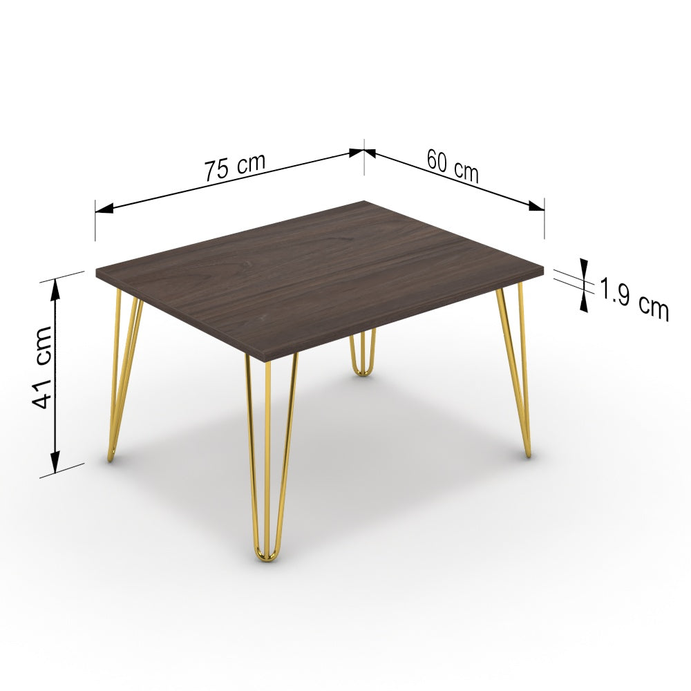 Dohányzóasztal - Linga arany lábbal - Sötét rauna szil, méret: 75x60