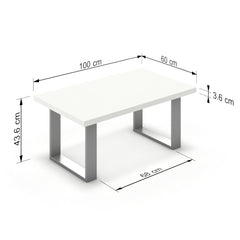 Dohányzóasztal - Antara festett ezüst lábbal - Alpesi fehér, méret: 100x60
