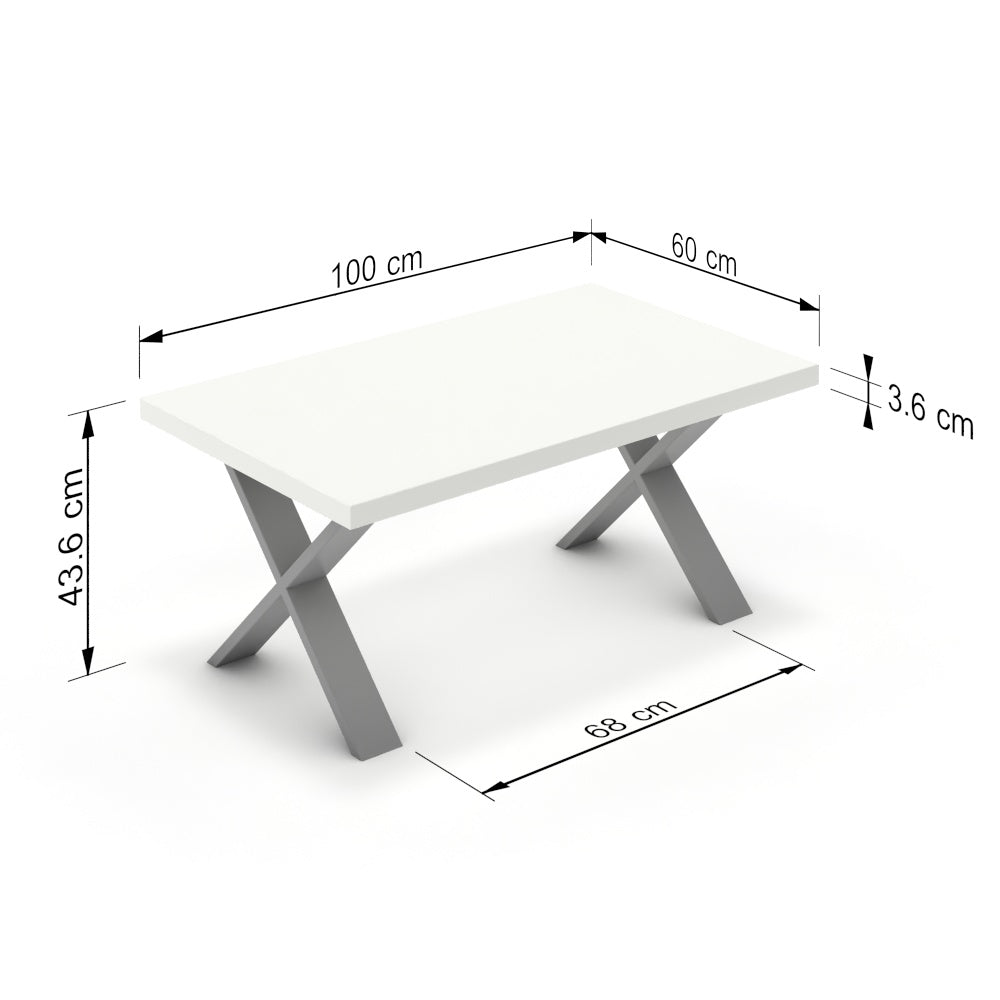 Dohányzóasztal - Préma festett ezüst lábbal - Alpesi fehér, méret: 100x60