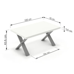 Dohányzóasztal - Préma festett ezüst lábbal - Alpesi fehér, méret: 100x60