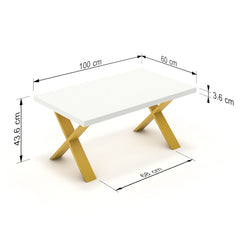 Dohányzóasztal - Préma festett arany lábbal - Alpesi fehér, méret: 100x60
