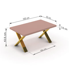 Dohányzóasztal - Préma arany lábbal - Antik rózsaszín, méret: 100x60