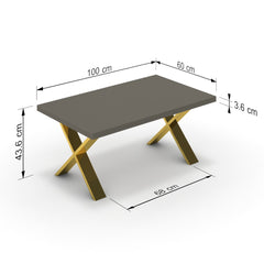 Dohányzóasztal - Préma arany lábbal - Fosszil szürke, méret: 100x60