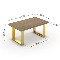 Dohányzóasztal - Antara arany lábbal - Világos rauna szil, méret: 100x60