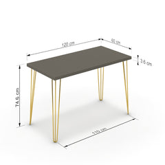 Íróasztal - Linga arany lábbal - Fosszil szürke, méret: 120x60