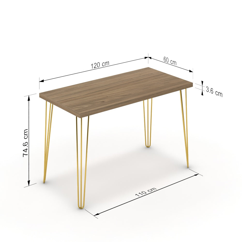 Íróasztal - Linga arany lábbal - Világos rauna szil, méret: 120x60