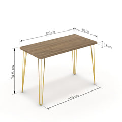 Íróasztal - Linga arany lábbal - Világos rauna szil, méret: 120x60