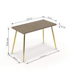Íróasztal - Manu arany lábbal - Szürke Vicenza tölgy, méret: 120x60