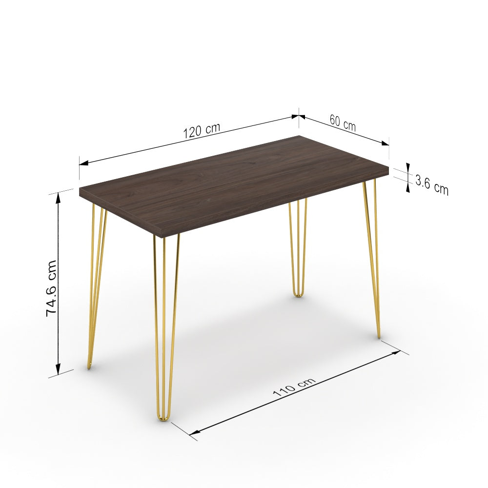 Íróasztal - Linga arany lábbal - Sötét rauna szil, méret: 120x60