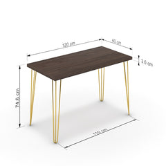 Íróasztal - Linga arany lábbal - Sötét rauna szil, méret: 120x60