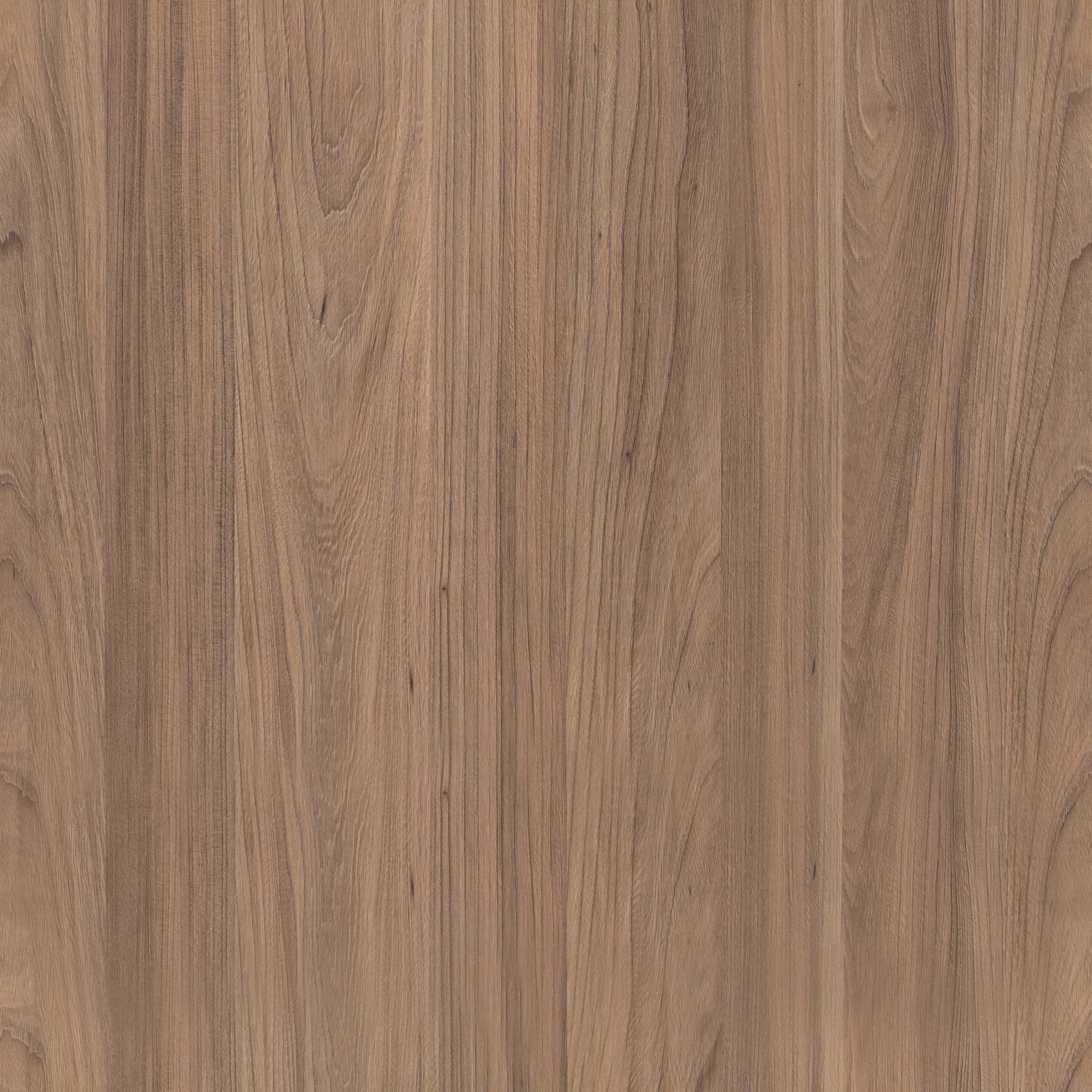 Színminta - Fa kollekció - Világos rauna szil