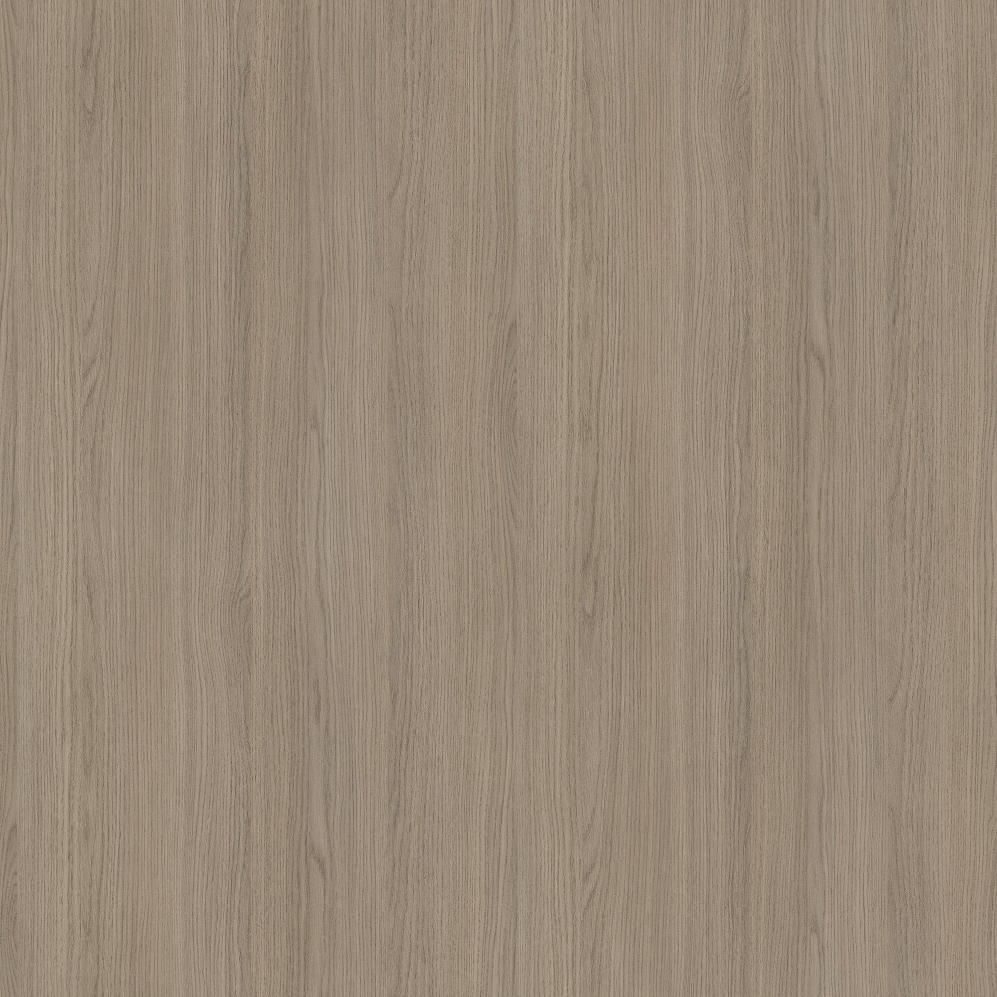Színminta - Fa kollekció - Szürke Vicenza tölgy