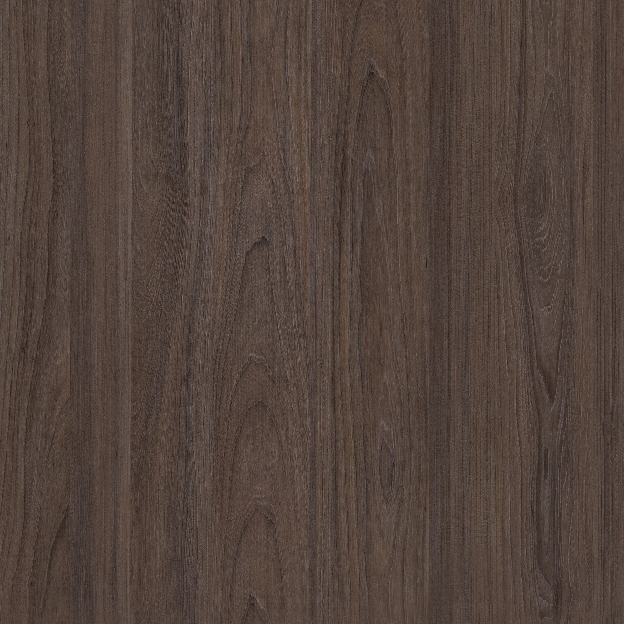 Színminta - Fa kollekció - Sötét rauna szil